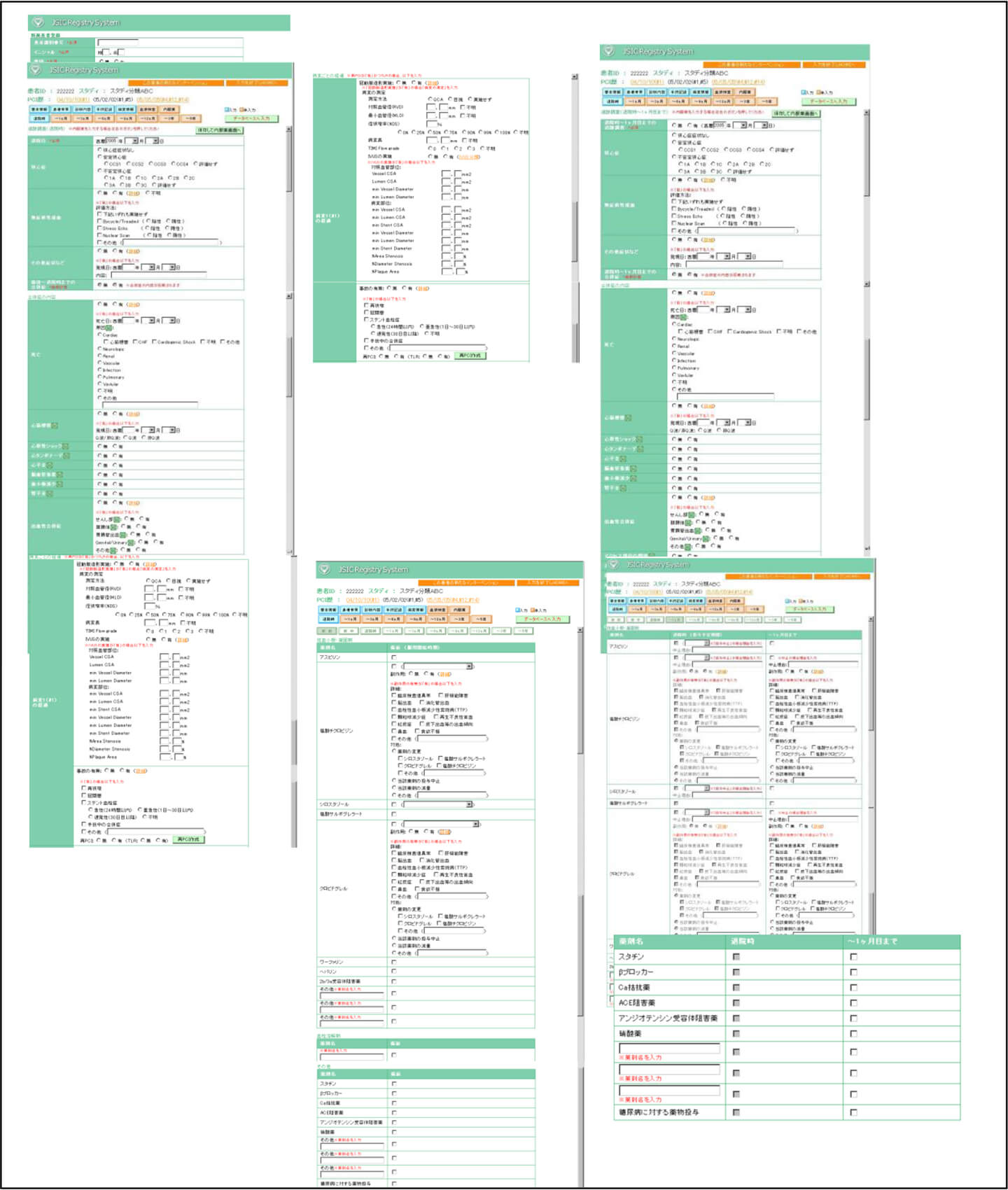 （資料3）仮運用開始時の入力画面